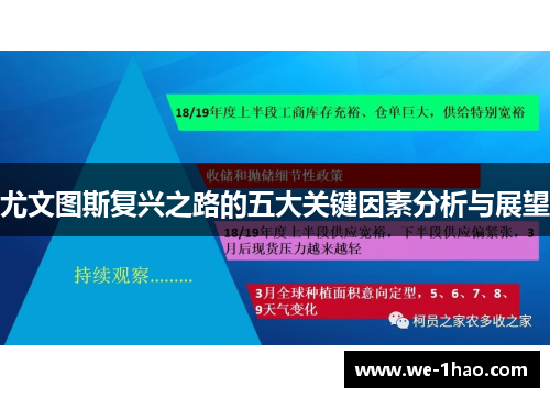 尤文图斯复兴之路的五大关键因素分析与展望 尤文图斯复兴之路的五大关键因素分析与展望