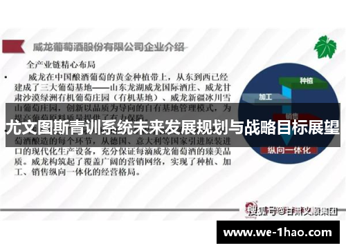 尤文图斯青训系统未来发展规划与战略目标展望 尤文图斯青训系统未来发展规划与战略目标展望