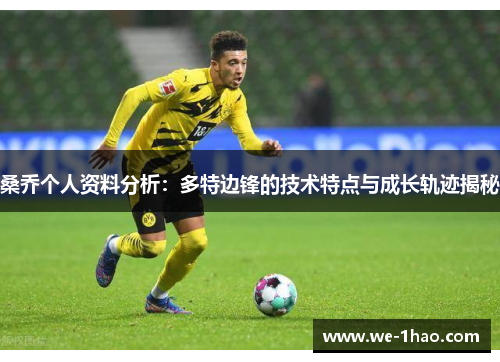 桑乔个人资料分析：多特边锋的技术特点与成长轨迹揭秘